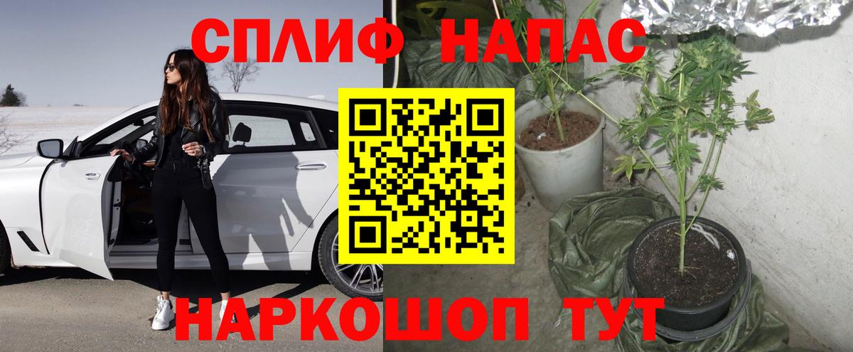 Бошки марихуана AK-47 Гуково